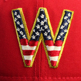 Washington Senators